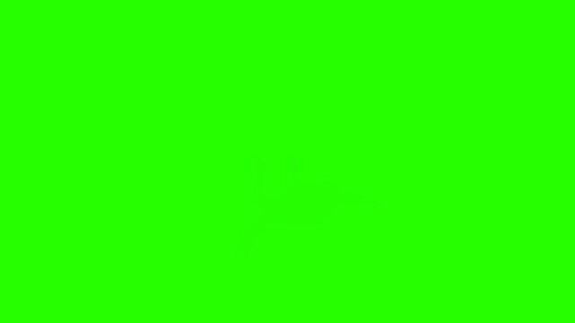 Green screen animation of skydiving sport silhouette 