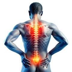 3d rendered illustration of back pain on white background
