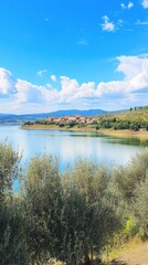 Discover the serene beauty of Lake Trasimeno in Italy with olive trees and scenic landscapes