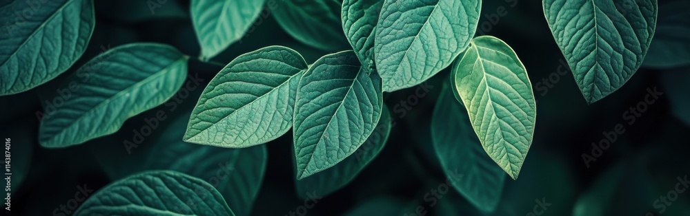 Poster close-up view of vibrant green leaves displaying intricate textures and natural patterns under soft 
