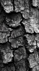 Close-up view of rugged old tree bark showcasing intricate textures and natural patterns under natural light