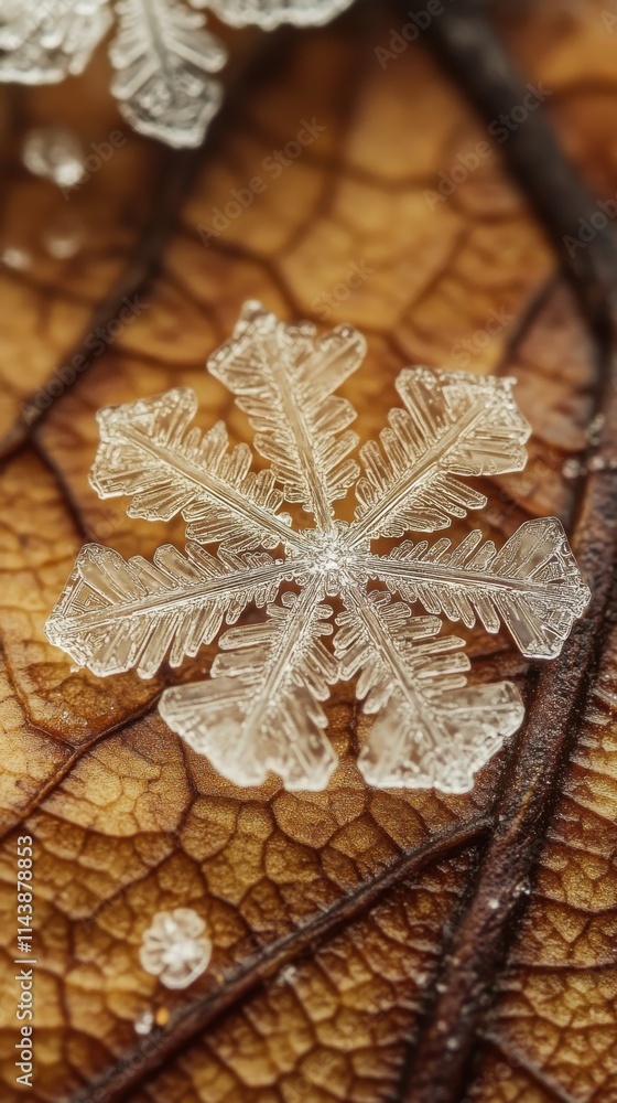 Poster intricate snowflake resting on a textured leaf surface during winter, showcasing nature's delicate b