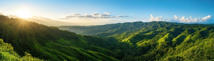 Naklejka premium A stunning panoramic view of lush green hills bathed in golden sunlight, showcasing the beauty of nature and a clear blue sky.