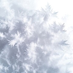 Obraz premium A close-up view of delicate frost crystals on a white surface, showcasing intricate patterns and a serene winter ambiance.