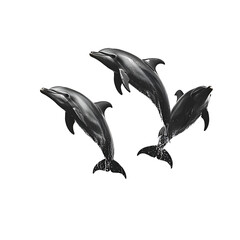 Fototapeta premium dolphin isolated on white background