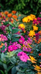 Vibrant spring garden showcasing colorful flowers blooming in a sunny outdoor setting
