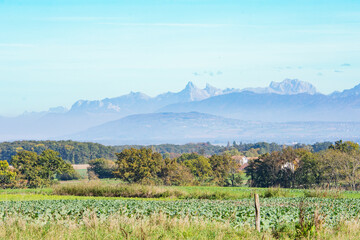 vue sur les alpes depuis la campagne genevoise , Collex-Bossy