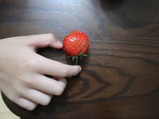 sweet and fresh strawberries holding on hand design for harvest concept