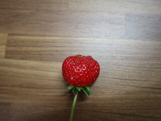 sweet and fresh strawberries holding on hand design for harvest concept