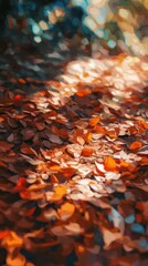 Sunlit forest floor adorned with autumn leaves showcasing vibrant colors and gentle light