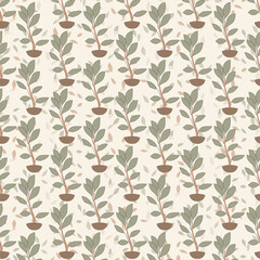 The season of young seedlings is minimalist and easy on the eyes.