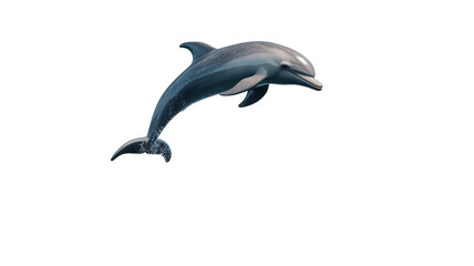 Fototapeta premium A Playful Dolphin Jumping Out of the Ocean Captivating the Beauty of Marine Life and Joyful Moments in Nature.