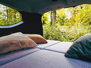Ausblick aus einem gemütlichen Minicamper in einen grünen Wald 