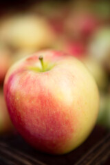 Organic Ambrosia Apple Okanagan Valley