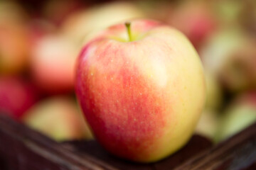 Organic Ambrosia Apple Okanagan Valley