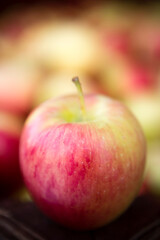 Organic Ambrosia Apple Okanagan Valley