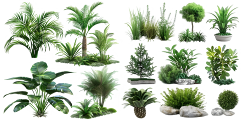Set of plants isolated on white background. Cutout vegetation for garden design or landscaping. High quality clipping mask for professionnal composition. Generative AI.
