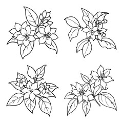 Simple flowers outline coloring book page line art drawing vector illustration for children and adults