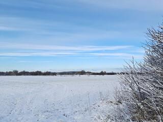 Winterliches Feld bei Brielow nahe Brandenburg an der Havel