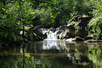 water, river, nature, tree, forest, lake, stream, reflection, pond, trees, landscape, summer, park,...