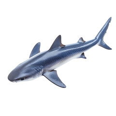 Obraz premium Porbeagle shark isolated on transparent, highlighting its unique features with transparent accents, a porbeagle shark fish isolated on transparent background