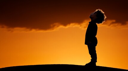 Silhouette of Wonder:  A child stands silhouetted against a fiery sunset, their head tilted upwards in a gesture of awe and wonder. The dramatic composition invites reflection on dreams, aspirations.