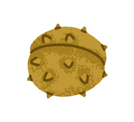 Chestnut fruit in barbed shell. Forest nut closed with prickles, thorns, spikes. Autumn seasonal botanical element. Natural fall decoration. Flat vector illustration isolated on white background