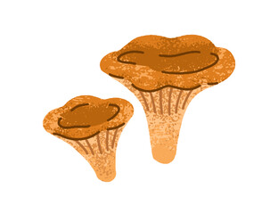 Chanterelles, autumn seasonal mushrooms. Fall forest natural food. Edible fungi. Cantharellus fungus, gilled caps, stalks, big and small. Flat graphic vector illustration isolated on white background