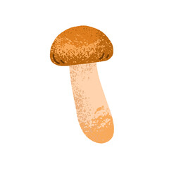 Boletus mushroom. Edible forest fungus with cap and stalk, natural seasonal plant. Fall porcini fungi icon, botanical design element. Flat graphic vector illustration isolated on white background