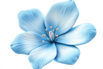 3D Beautiful Lechenaultia flower Clipart, isolated on a white background