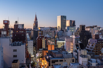View of high-rises in Tokyo, Japan during colorful morning sunrise