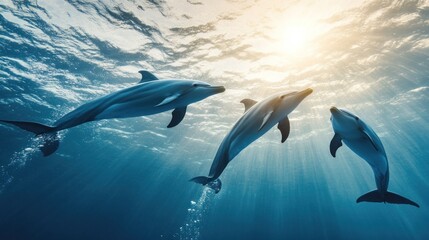 Three dolphins swimming underwater, sun rays shining through the ocean.