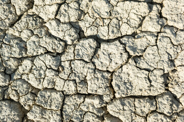 Dry cracked earth texture, cracks in the ground due to hot dry summers. Ecological problems. Climate warming. Dry land in summer, global natural crisis. Ground drought fertile soil dried up and cracke
