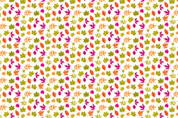Trending Pattern Designs for Fashion and Home, Nature-Inspired Pattern Designs for Versatile Applications