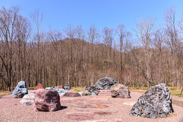 Fototapete bei efototapeten.de bestellen   