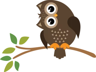 Fototapeten Adorable owl on tree branch © soniagoncalves