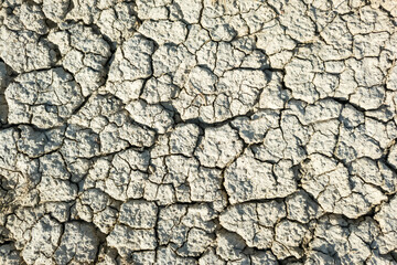 Dry cracked earth texture, cracks in the ground due to hot dry summers. Ecological problems. Climate warming. Dry land in summer, global natural crisis. Ground drought fertile soil dried up and cracke