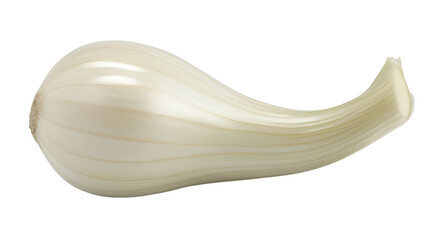 High-Quality Fresh White Garlic Clove with Smooth Surface Perfect for Culinary Uses and Health Benefits in Cooking.