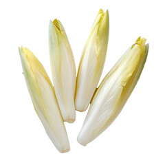 Fresh endive vegetables arranged on a transparent background for culinary use and healthy eating inspiration, Endive vegetable food ingridient transparent background