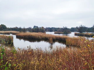 Serene lakeside view with pathways and autumn foliage in a tranquil landscape