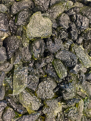 Close up of a pile of rough Moldavite stones