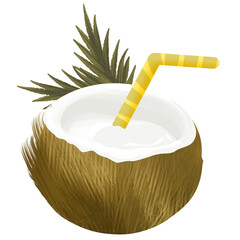 Hand drawn coconut illustration,healthy food,tropical fruit,summer illustration