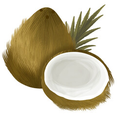 Hand drawn coconut illustration,healthy food,tropical fruit,summer illustration