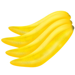 Banana illustration,fruit illustration