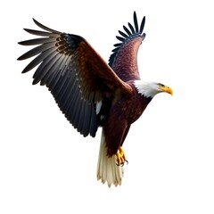 Obraz premium magnificent bald eagle perched gracefully with sharp eyes and strong posture, symbol of power, freedom, and resilience, isolated on white 
