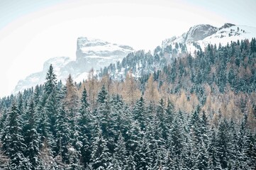 Canazei, the jewel of the Val di Fassa under a heavy snowfall.