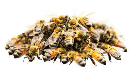 A close-up view of a swarm of bees gathered together on a transparent background, showcasing their vibrant colors and intricate details.
