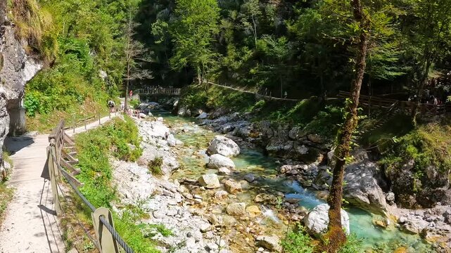 Tolmin gorge in triglav national park features turquoise waters flowing through a narrow canyon surrounded by lush vegetation