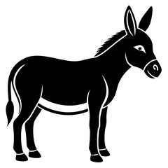 Donkey isolated on white background