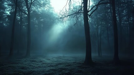 Obraz premium Misty Forest Scene Eerie Dawn, Shadowy Trees, and Blue Haze